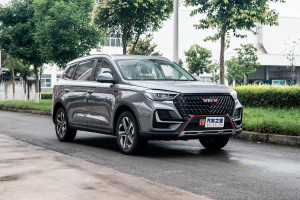 Новый китайский бренд VGV скоро появится в РФ по цене Москвича