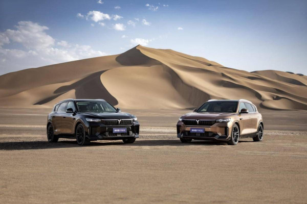 2024 Voyah Free без пробега